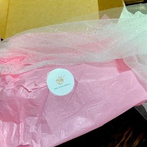 Cathedral length wedding veil